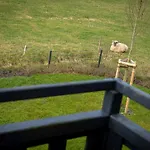Unter Reet Blinkfueer