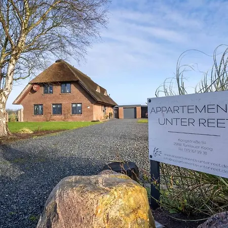 Unter Reet Blinkfueer