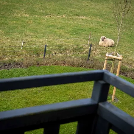 Unter Reet Blinkfueer